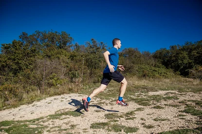 Heren T-shirt Inov-8  Base Elite SS blue