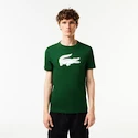 Heren T-shirt Lacoste  Big Logo Core Performance T-Shirt Green/White XL