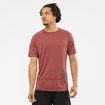 Heren T-shirt Salomon Cross Run Graphic Tee Cabernet