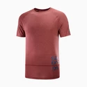 Heren T-shirt Salomon Cross Run Graphic Tee Cabernet