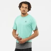 Heren T-shirt Salomon Cross Run SS Tee Pool Blue/Black