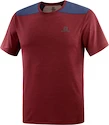 Heren T-shirt Salomon  Outline SS Tee Cabernet XL