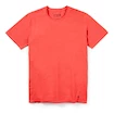 Heren T-shirt Smartwool  Merino 150 Plant-Based Dye Earth Red Wash XL