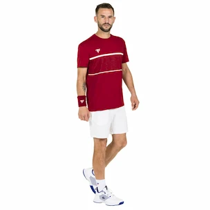 Heren T-shirt Tecnifibre  Club Tech Tee Cardinal