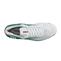 Heren tennisschoenen Wilson Rush Pro 4.0 Clay White/Green