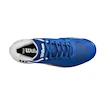 Heren tennisschoenen Wilson Rush Pro ACE Clay Deja Vu Blue