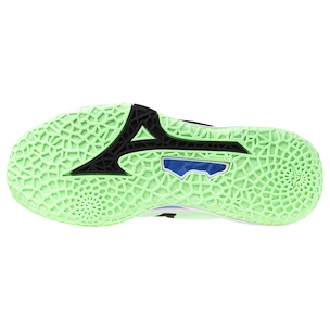 Heren zaalschoenen Mizuno  Wave STEALTH NEO 2 Neo Mint/Black