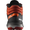 Herenschoenen Salomon Predict Predict Hike Mid GTX Black