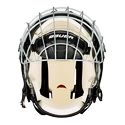 IJshockeyhelm Combo Bauer  4500 Combo Senior