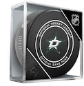 Inglasco Inc.  NHL Dallas Stars