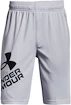 Jongens short Under Armour  Prototype 2.0 Logo Shorts gray M