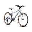 Kinderfiets Academy  Grade 5 Edition - FUNtasy Silver