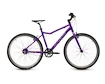 Kinderfiets Academy  Grade 6 Belt - 26" Purple