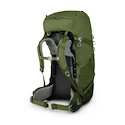 Kinderrugzak OSPREY  Ace 75 venture green