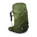 Kinderrugzak OSPREY  Ace 75 venture green