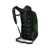 Rugzak OSPREY Daylite green belt/green canopy