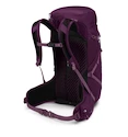 Rugzak OSPREY Sportlite 30, aubergine purple