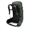 Rugzak OSPREY Sportlite 30 pine leaf green