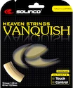 Tennis besnaring Solinco  Vanquish (12 m)  1,20 mm