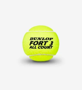 Tennisballen Dunlop  Fort All Court TS