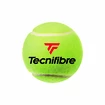 Tennisballen Tecnifibre  X-One (4 Pack)