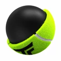 Tennisballen Tecnifibre  X-One (4 Pack)