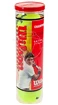 Tennisballen Wilson  Championship (4 Pack)