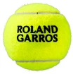 Tennisballen Wilson  Roland Garros Clay (4 Pack)