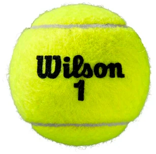 Tennisballen Wilson  Roland Garros Clay (4 Pack)