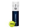 Tennisballen Wilson  Triniti Pro (4 Pack)