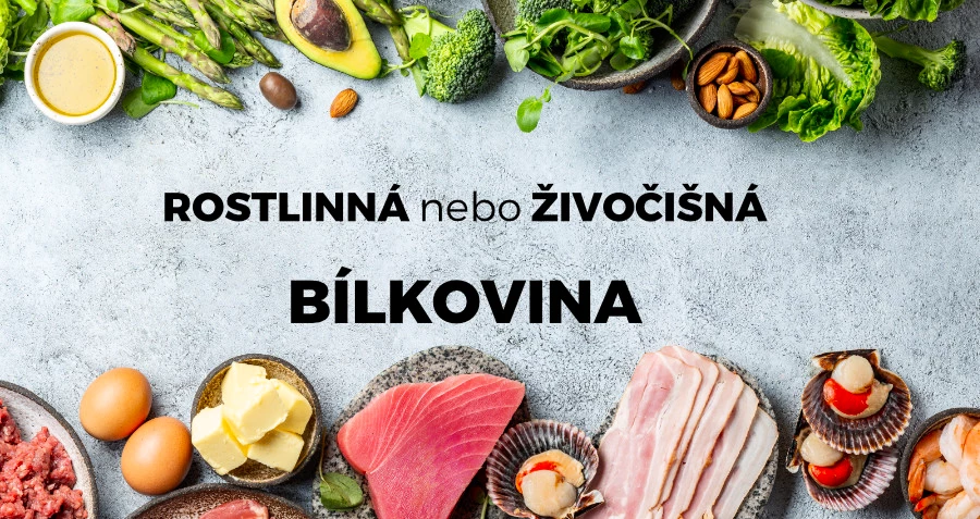 rostlinna-nebo-zivocisna-bilkovina.webp